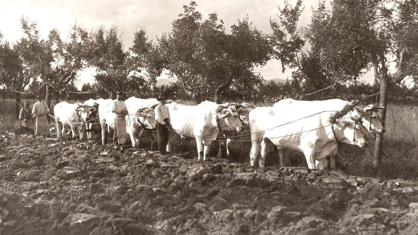 Tenuta La Fratta Sinalunga Bagian luar foto