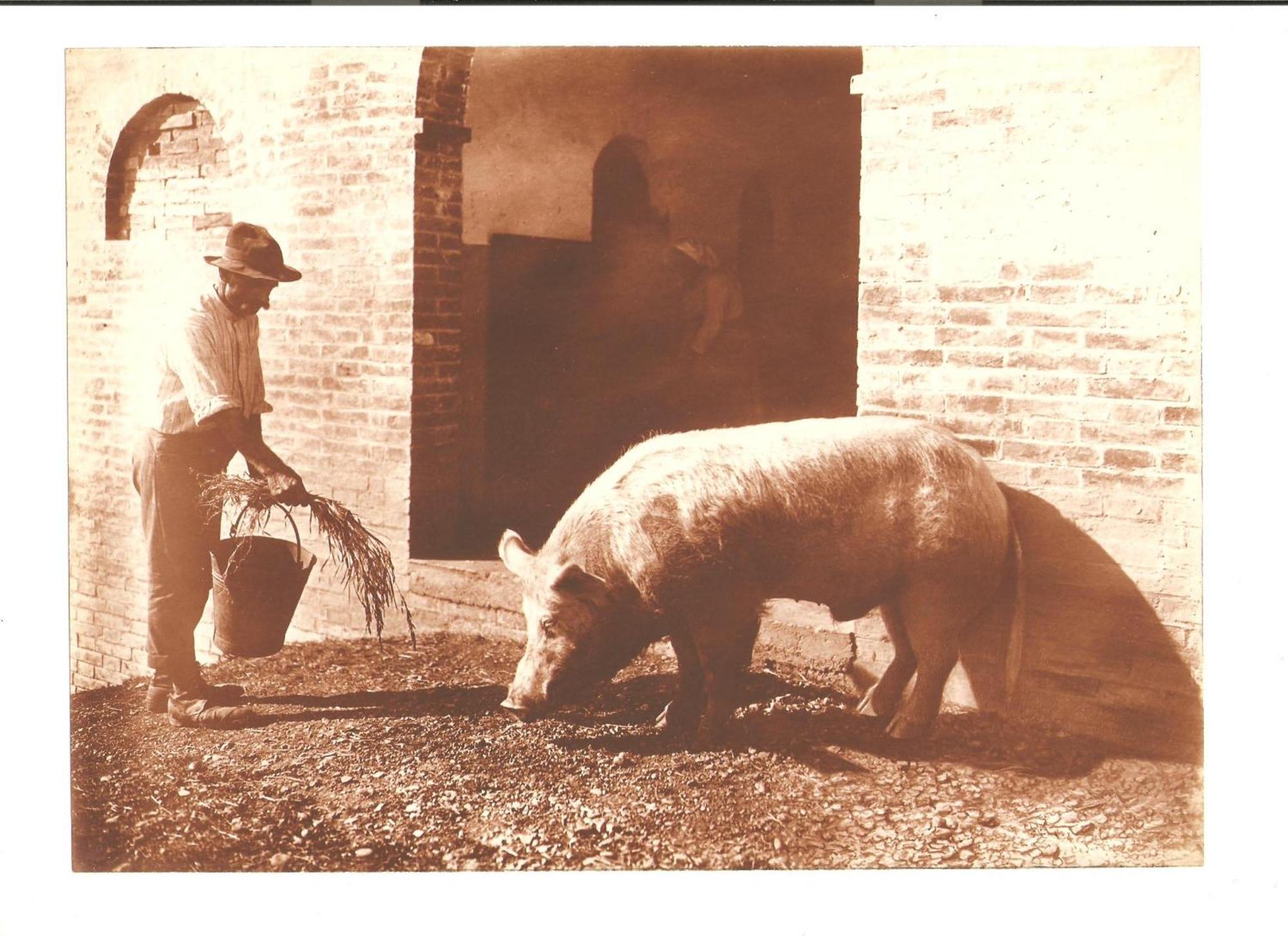 Tenuta La Fratta Sinalunga Bagian luar foto